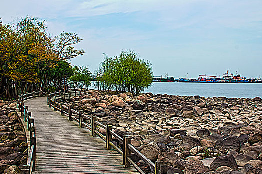 上海宝山炮台湾湿地公园风光