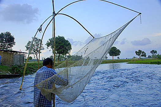 渔民,抓住,鱼,孟加拉,五月,2006年