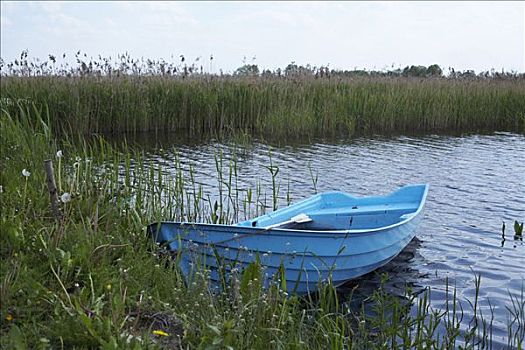 划桨船,岸边,河,波兰