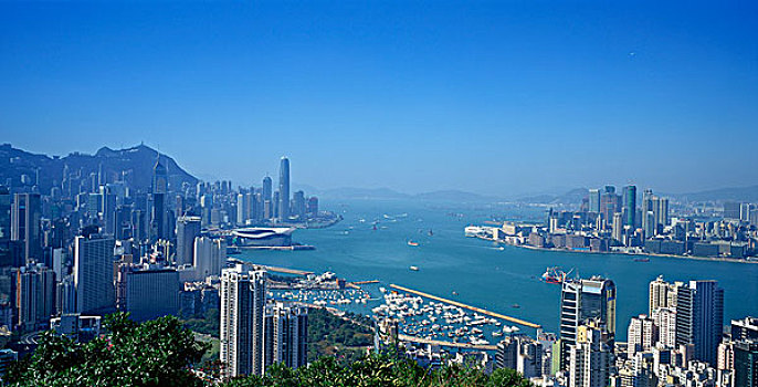 城市,山,香港