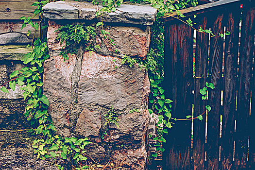 大门,墙壁,植物