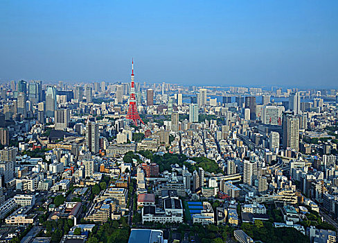 俯瞰东京塔,东京湾
