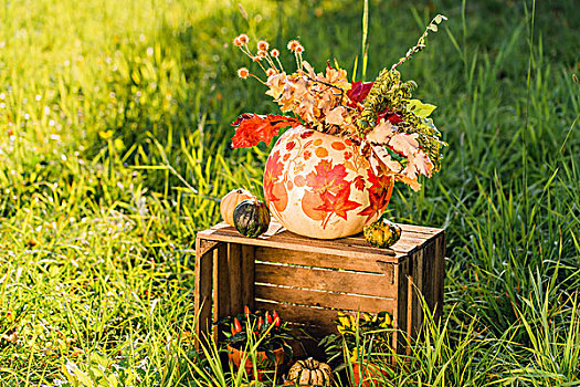 草地,木盒,秋天,装饰,南瓜