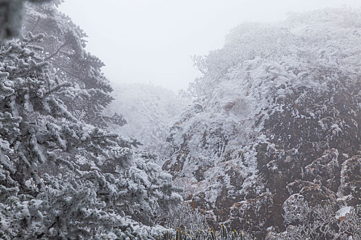 昆明,禄劝,轿子雪山,雾凇