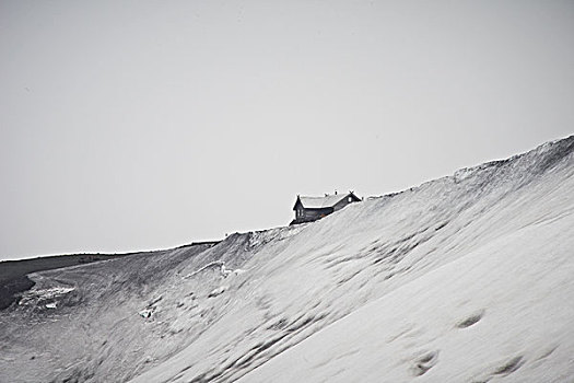 房子,建造,雪,山顶