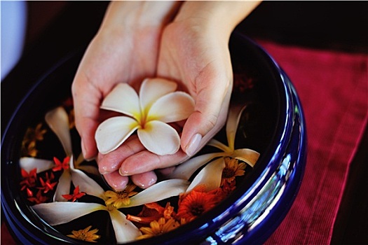 女性,手,花,水中