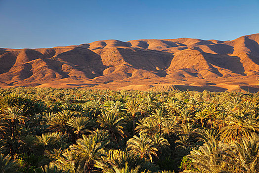 德拉河谷,阿特拉斯山脉,南,摩洛哥,非洲