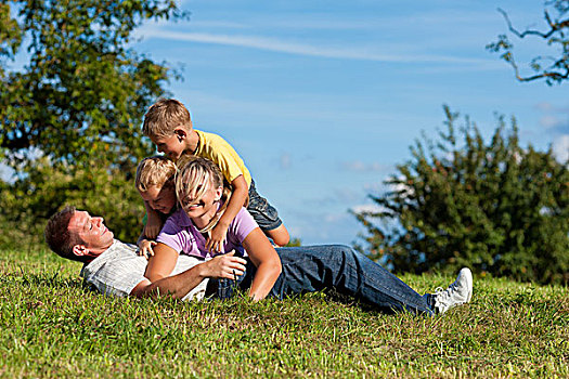 幸福之家,两个,小男孩,玩,草,夏日草地