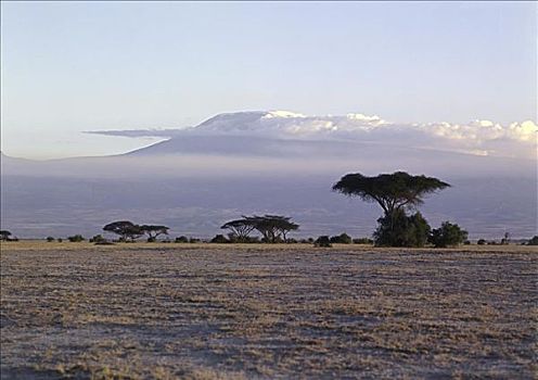 乞力马扎罗山,安伯塞利国家公园,肯尼亚