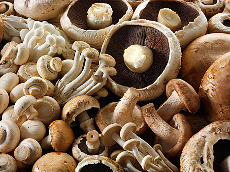 新鲜,混合,蘑菇