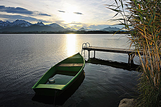 划桨船,太阳,反射,湖,看,巴伐利亚,德国