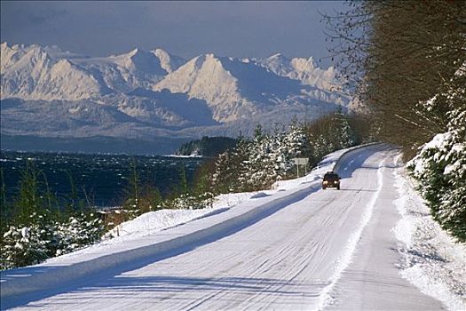 雪路,奇尔卡特山脉,东南阿拉斯加,冬天,景色,交通工具