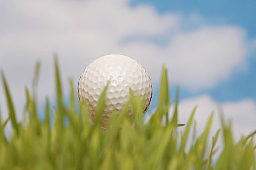 高尔夫球,青草,蓝天