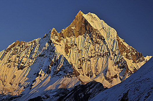 尼泊尔,安纳普尔纳峰,保护区,鱼尾,山,北方,中心,风景,露营