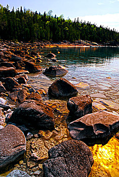 石头,清晰,金色,水,乔治亚湾,布鲁斯半岛,安大略省,加拿大