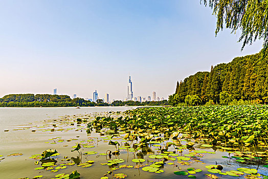 南京玄武湖自然风光