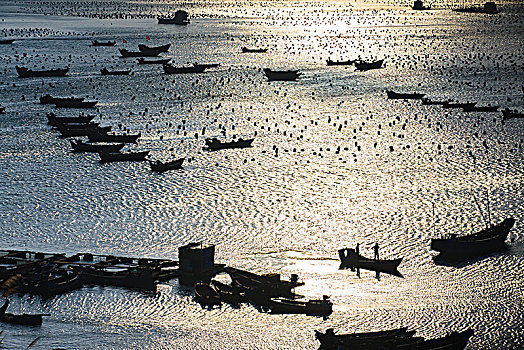 海湾,船,阳光,海岸,停泊,航行,港湾