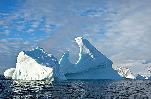 冰山,南大洋,南极半岛,南极