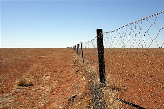 澳大利亚内陆,澳洲野狗,栅栏