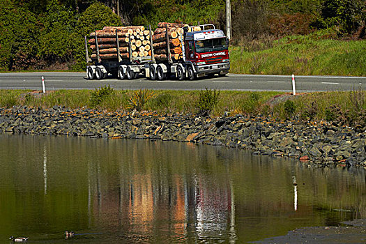 伐木,卡车,出口贸易,原木,靠近,港口,奥塔哥,南岛,新西兰