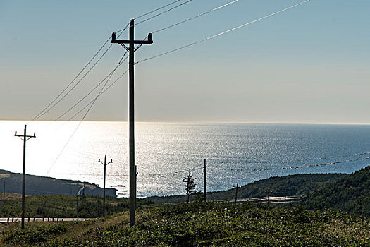 电,杆,海岸,头部,格罗莫讷国家公园,纽芬兰,拉布拉多犬,加拿大