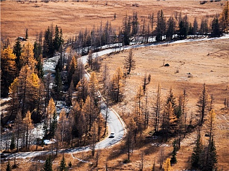 山路,靠近,高山,湍流,秋天