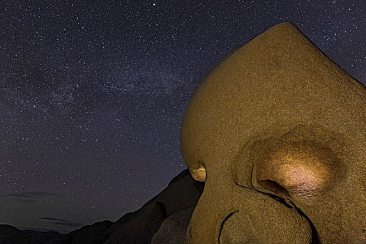 头骨,石头,光亮,夜晚,约书亚树国家公园,加利福尼亚,美国