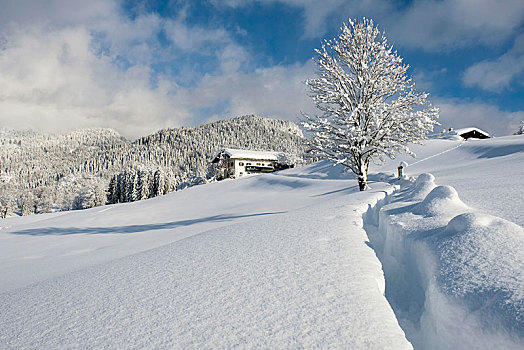 冬季风景,积雪,农舍,草地,贝希特斯加登地区,上巴伐利亚,巴伐利亚,德国,欧洲