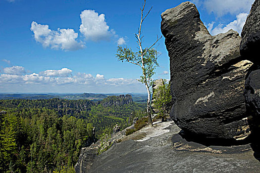 风景,岩石,平台,撒克逊瑞士