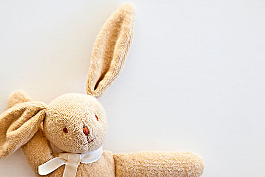 毛绒玩具,兔子