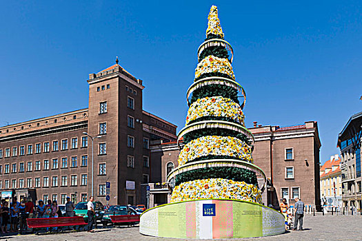 喜庆,圣诞节,树,正面,里加,科技,大学,街道,老城,拉脱维亚,北欧