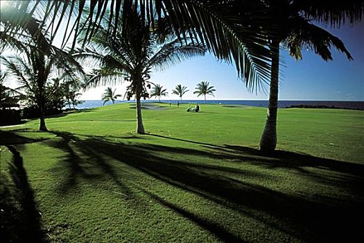 夏威夷,北柯哈拉,海岸,瓦克拉,高尔夫球场