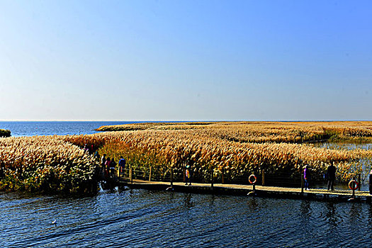 居延海