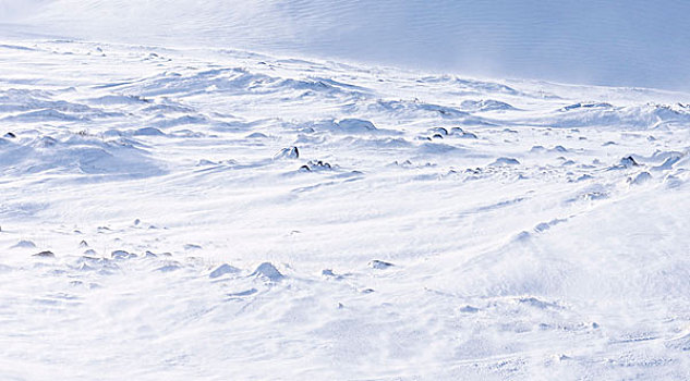 熔岩原,暴风雪,斯奈山半岛,冬天,冰岛,大幅,尺寸