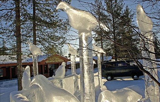 芬兰,拉普兰,滑雪胜地,特写,鸟,冰,雕塑
