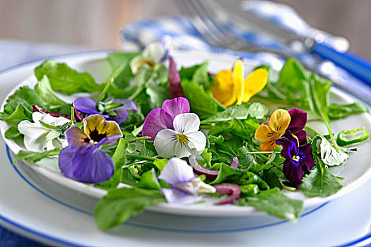 食用花卉,三色堇,天宇,旱金莲