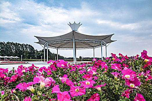 雁窝岛植物园景观