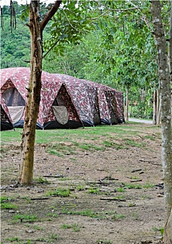 排,露营,帐篷