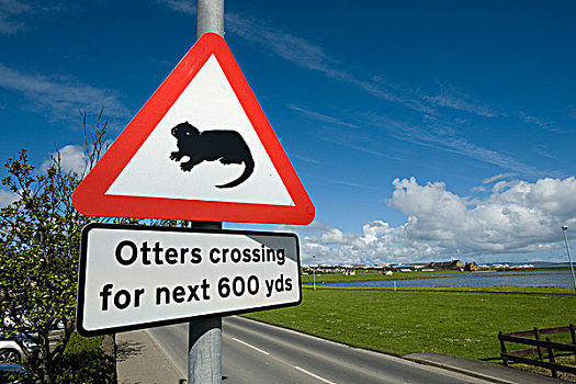 警告标识,奥克尼群岛,苏格兰,英国,欧洲