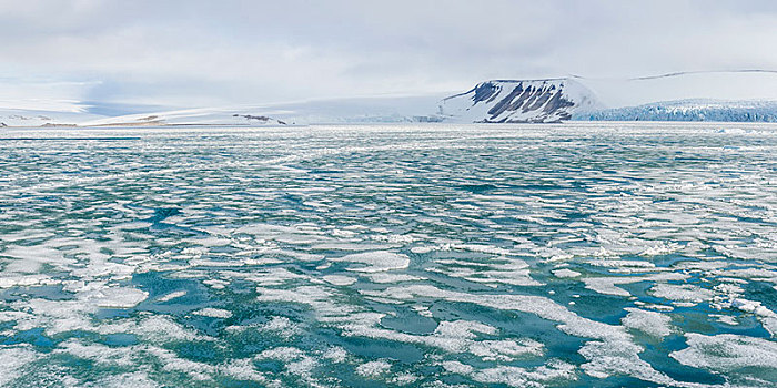 湾,浮冰,图案,陆地,斯瓦尔巴群岛,挪威,欧洲