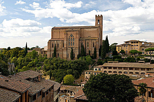 圆屋顶,砖,大教堂,锡耶纳,世界遗产,托斯卡纳,意大利,欧洲