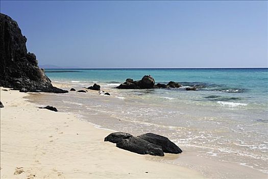 富埃特文图拉岛,加纳利群岛