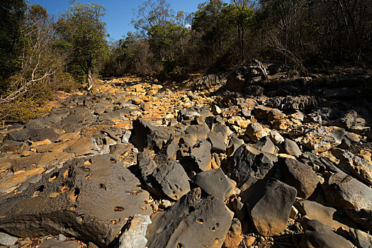 干燥,石头,河床,马达加斯加