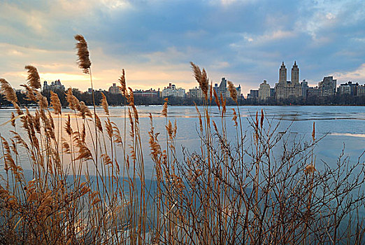 中央公园,日落,上方,冰,湖,纽约