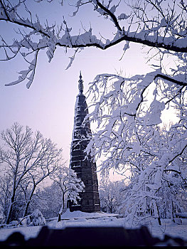 积雪,抱树,塔,堤岸,西部,湖,杭州,城市,浙江