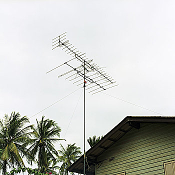 木屋,电视天线,棕榈树