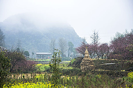 田园雾色