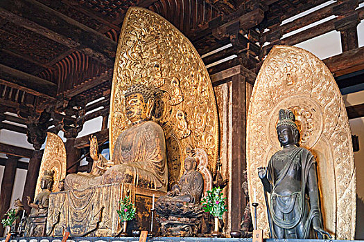 日本,奈良,甲府,庙宇,佛像,东方,金色,大厅
