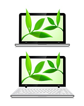笔记本电脑,叶子,白色背景,背景