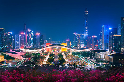 中国广东深圳福田中心区都市夜景